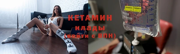индика Анива