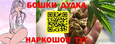 apvp Бийск