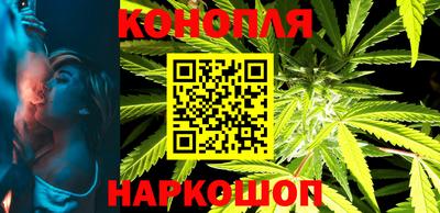 apvp Бийск