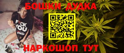 apvp Бийск