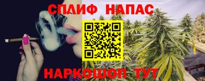 apvp Бийск