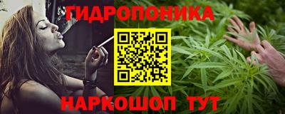 apvp Бийск