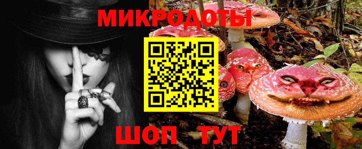 Галлюциногенные грибы Psilocybe  Вход с VPN  Саратов 